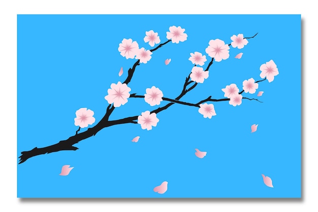 Vettore fiore di sakura disegnato a mano