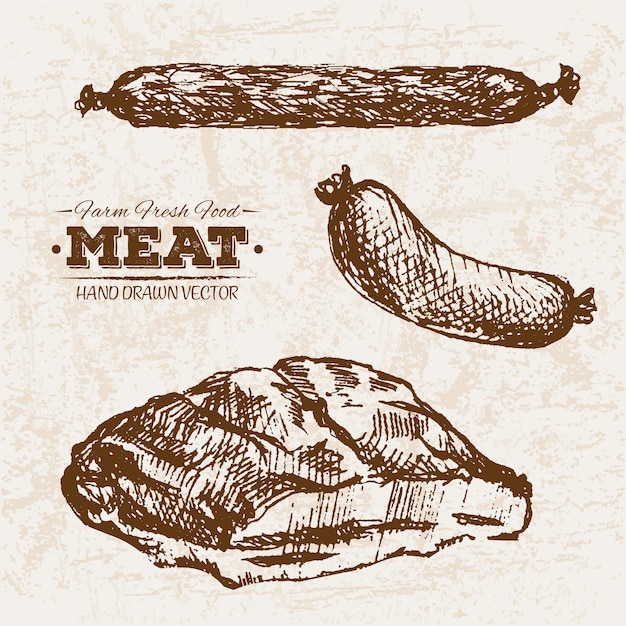 Hand drawn sausages and salami