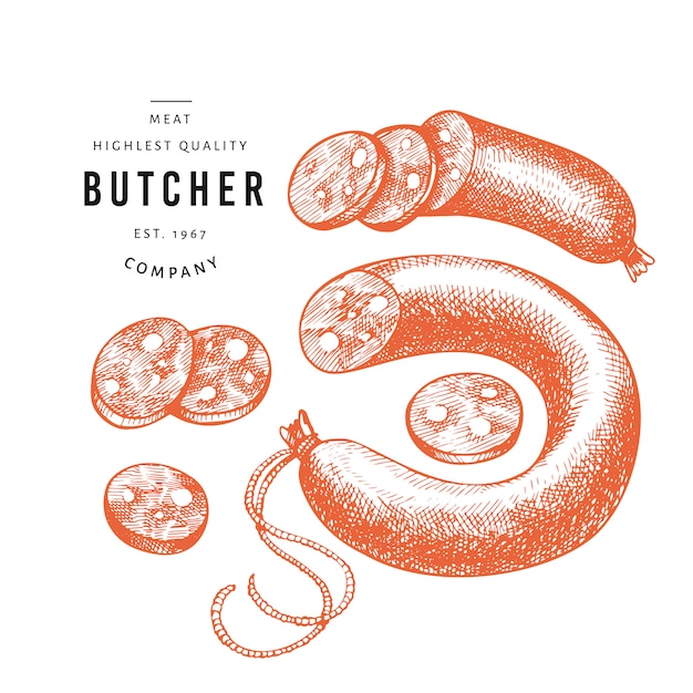 Vector hand drawn sausages, sausages slices, spices and herbs.