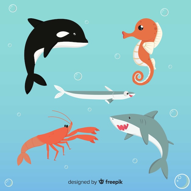 Vector hand drawn sea animals collection