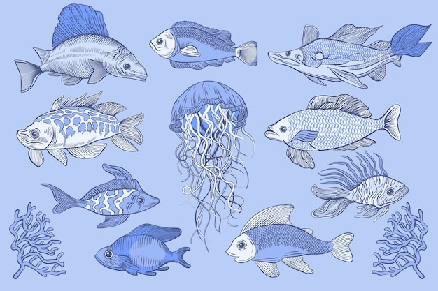 Vector hand drawn sea animals illustration