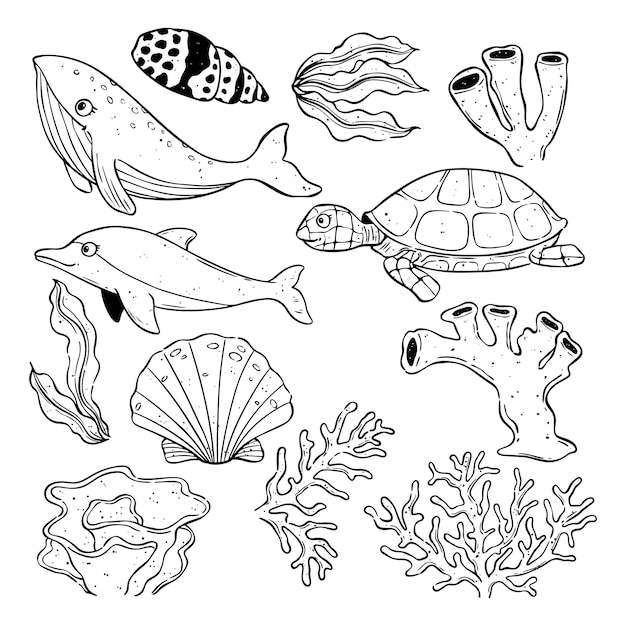 Vector hand drawn of sea life vector illustration whale dolphin turtle shell seaweed