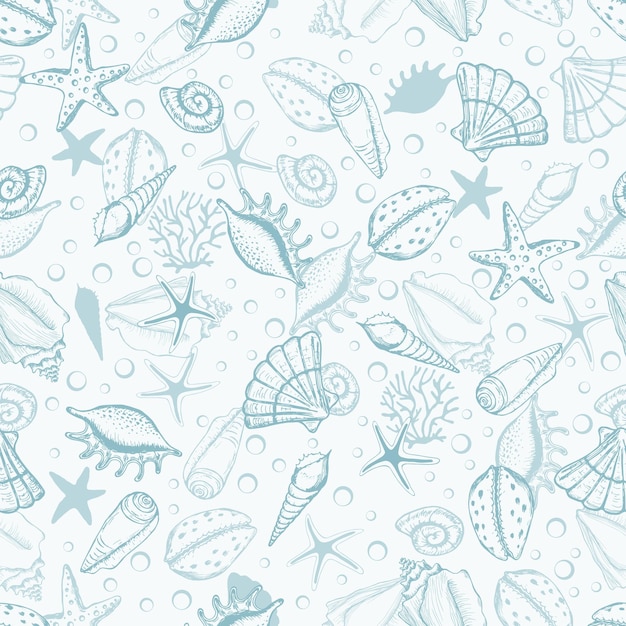Vector hand drawn sea shells seaweed and stars seamless collection marine illustration shell