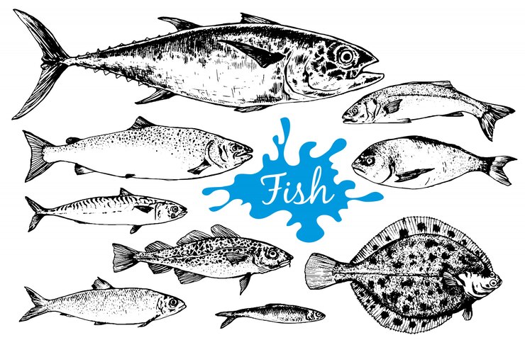 Коллекция рисованной морепродуктов с рыбками