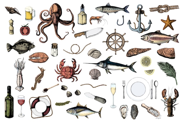 Vector hand drawn of seafood concept