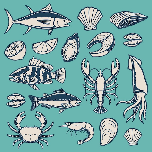 Vector hand drawn seafood element