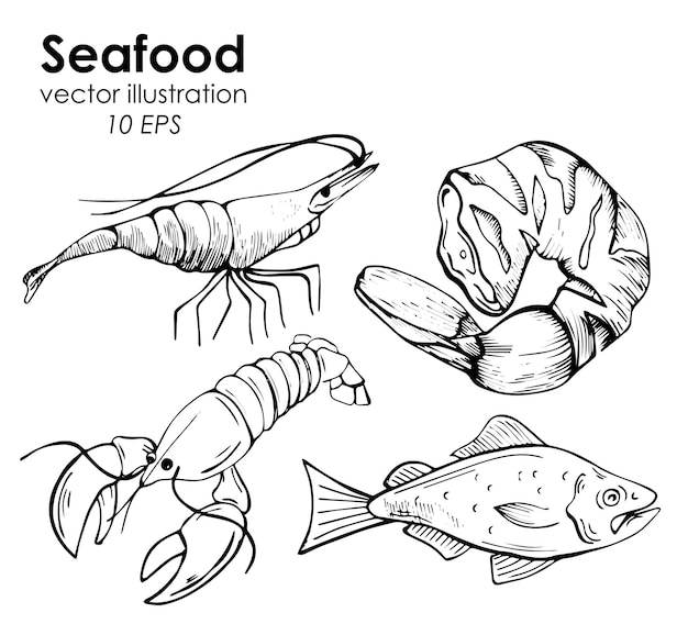 Vector hand drawn seafood set.