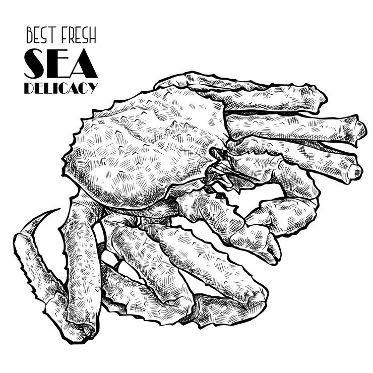 Premium Vector Hand drawn seafood vector illustration crabs lobsters shrimps oysters mussels