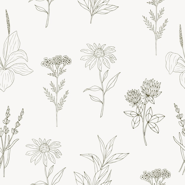 Hand drawn seamless pattern with herbs