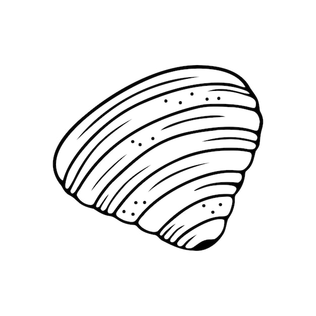 Hand drawn seashell isolated on a white background