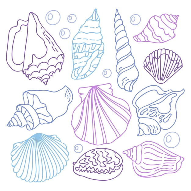 Vector hand drawn seashell outline illustration