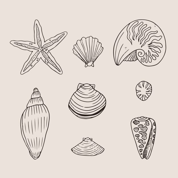 Hand drawn seashell outline illustration