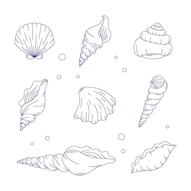 Vector hand drawn seashell outline illustration