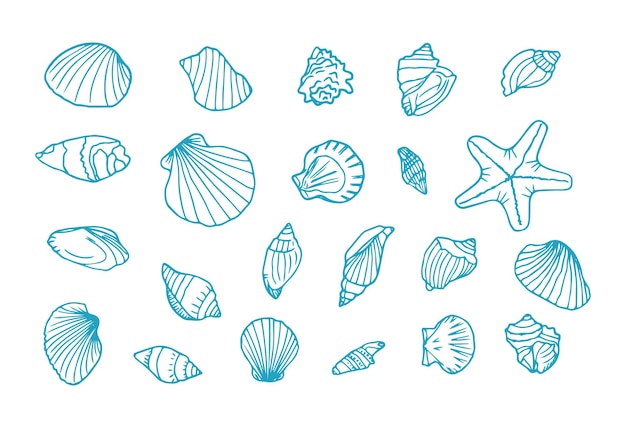 Hand drawn seashells Marine doodle set with seastars and mussels Collection of shell sink and starfish Perfect for invitations fabric textile linens posters prints banners