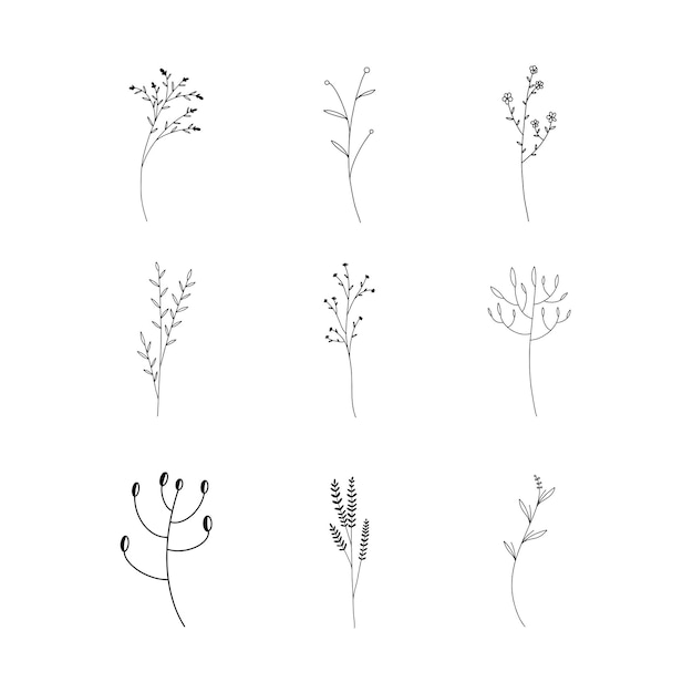 Hand drawn set of botanical leaf doodle wildflower line art