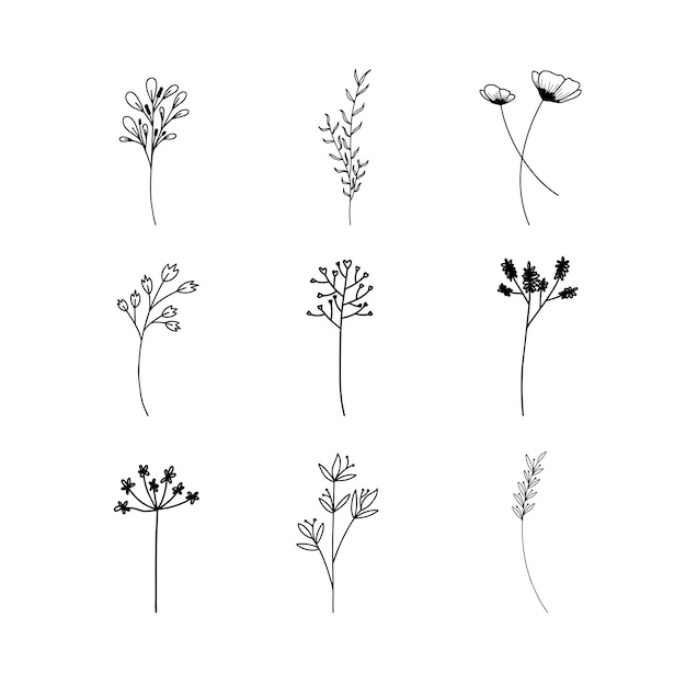 Disegnato a mano set di foglie botaniche doodle linea arte di fiori selvatici