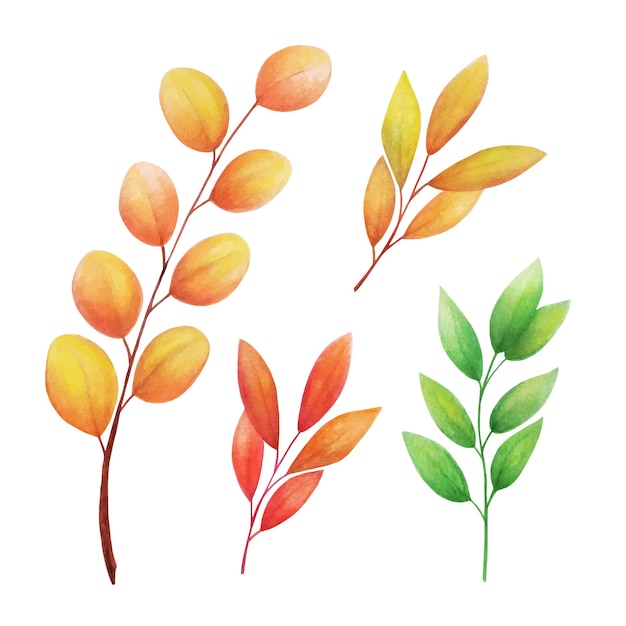 Hand drawn set of colorful leaves isolated on white background. Decorative colorful autumn watercolor illustration.