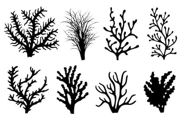 Vector hand drawn set of corals and seaweed silhouette isolated on white background vector icons and stamp