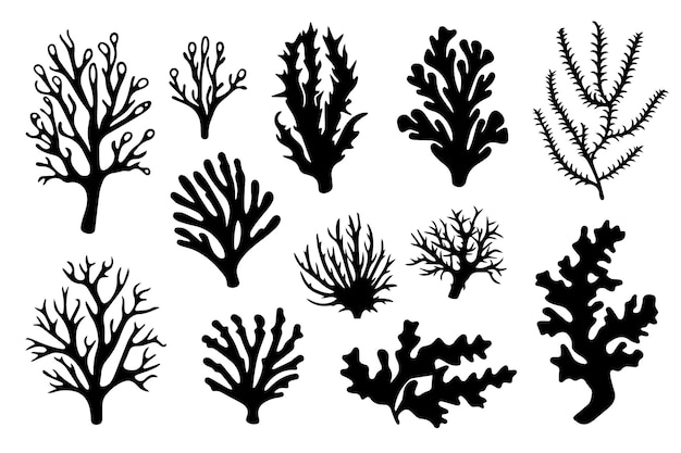 Hand drawn set of corals and seaweed silhouette isolated on white background Vector icons and stamp