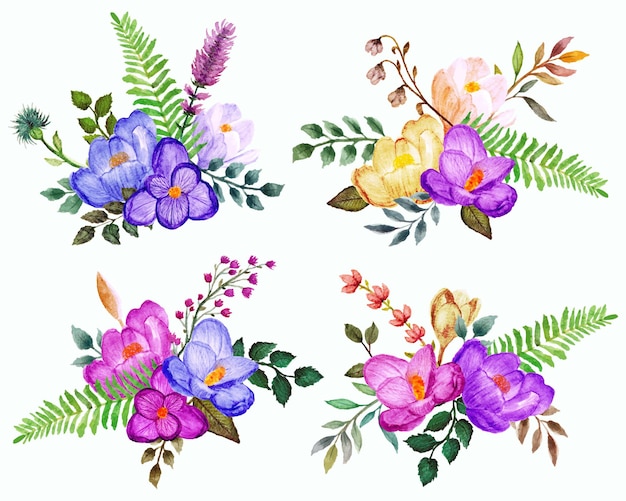 hand drawn set of crocus flower arrangement