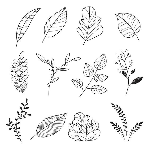 Hand drawn. Set of cute leafs naturals