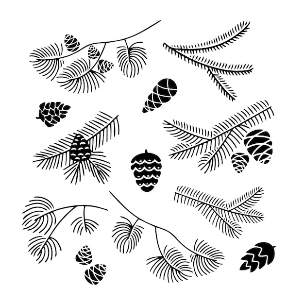 Vector hand drawn set doodle of fir tree branch with cones isolated on white background conifer sketch