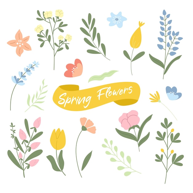 Hand drawn set of elegant spring flowers Vector illustration