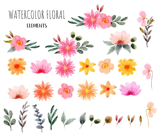 hand drawn set of floral elements