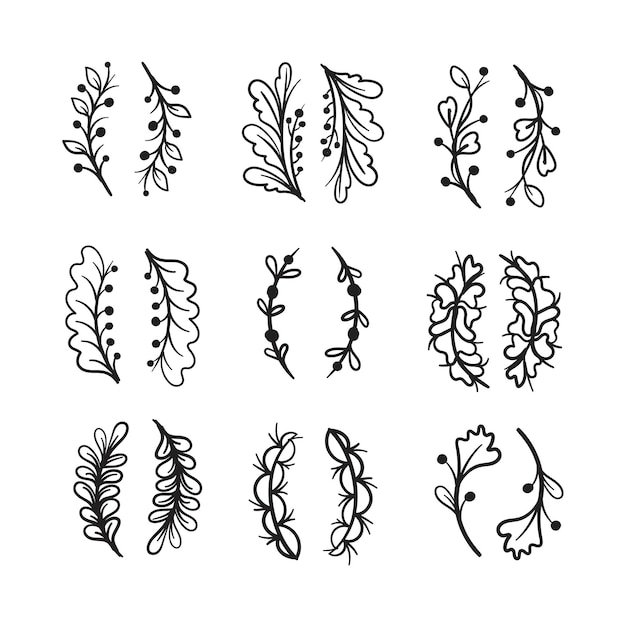 Hand drawn set of floral plant elements leaf branch vine flower Doodle sketch style Floral e