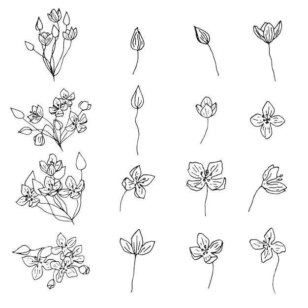 Hand drawn set of flowers. Liner