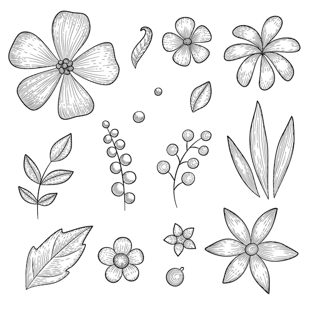 Hand drawn set of garden botanical flower