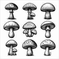 Vector hand drawn set mushroom vector line art