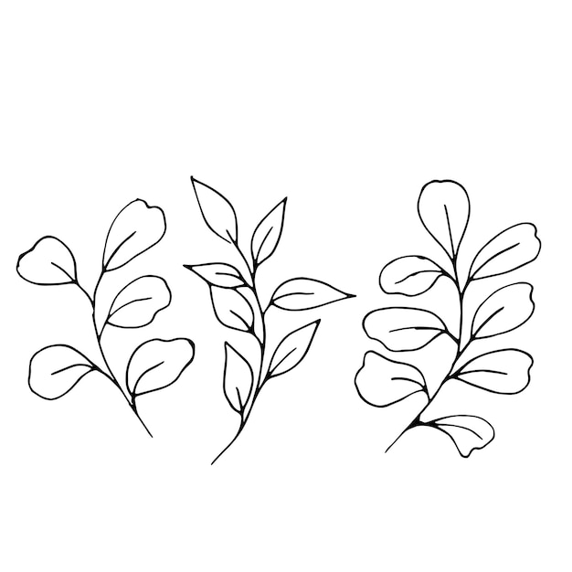 ベクトル 白い背景に分離された別の葉の手描きセット モノクロの花要素