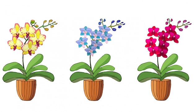 Vector hand drawn set of orchids in flower pots.