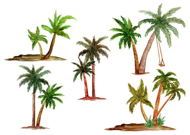 Vector hand drawn set of palm tree