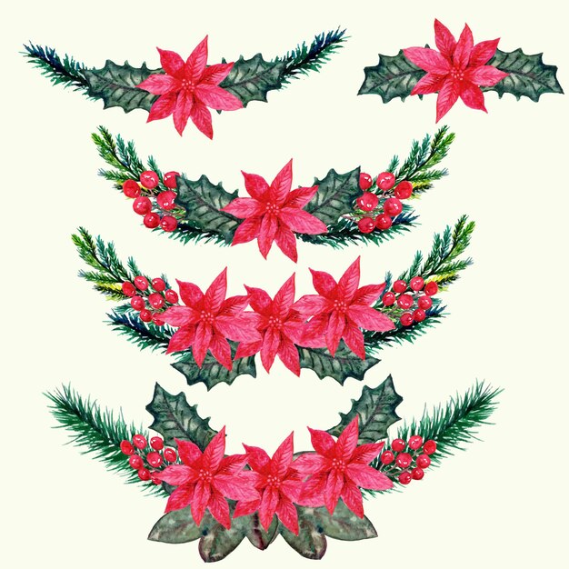 Vector hand drawn set of poinsettia floral arrangement