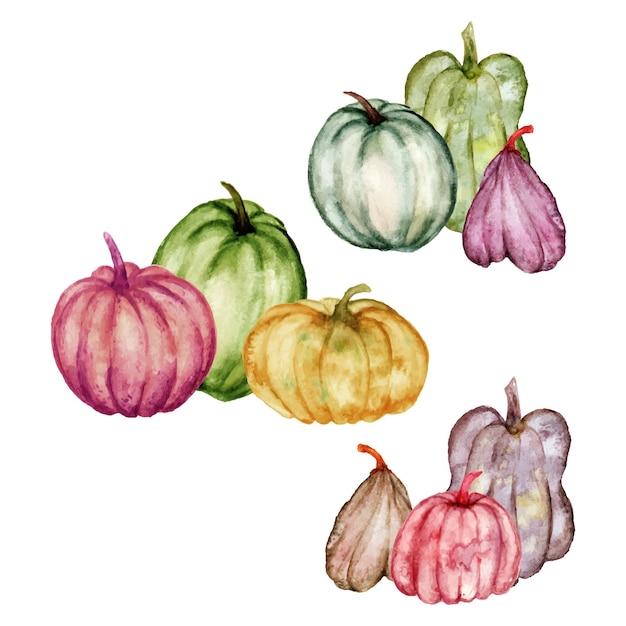 hand drawn set of pumpkins arrangement