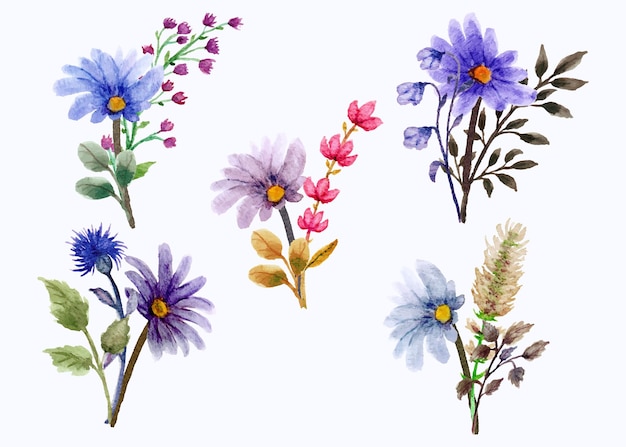 Set disegnato a mano di bouquet di fiori di campo estivo