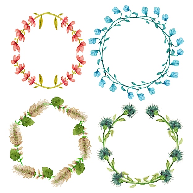 hand drawn set of summer wildflower wreath