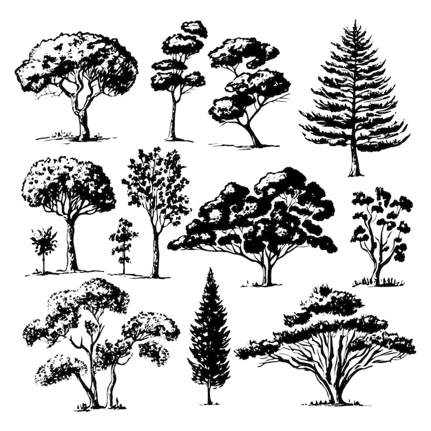 Hand drawn set of trees