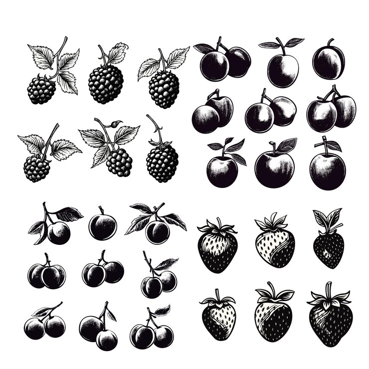 Vector hand drawn set of tropical fruits silhouette vector illustration