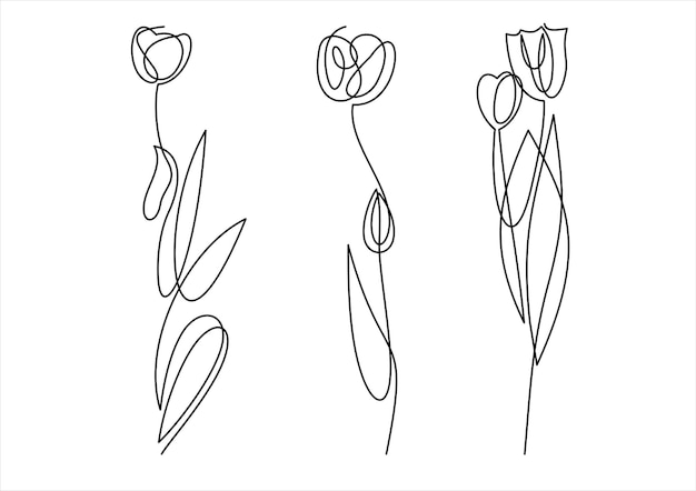Hand drawn set of tulip branches. The flower is isolated on a white background.