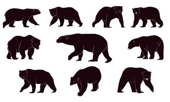 Vector hand drawn silhouette of bears