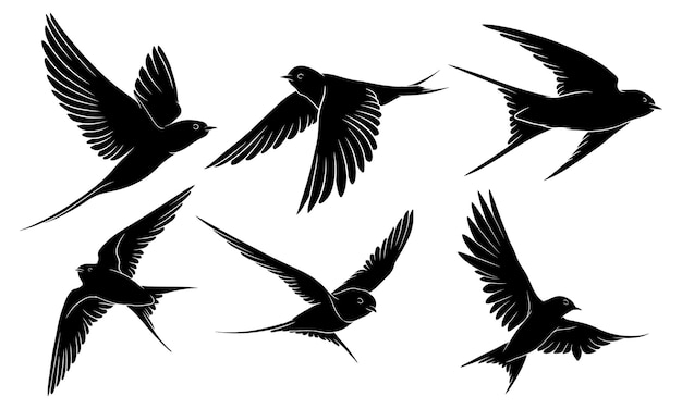 Vector hand drawn silhouette of flying swallow