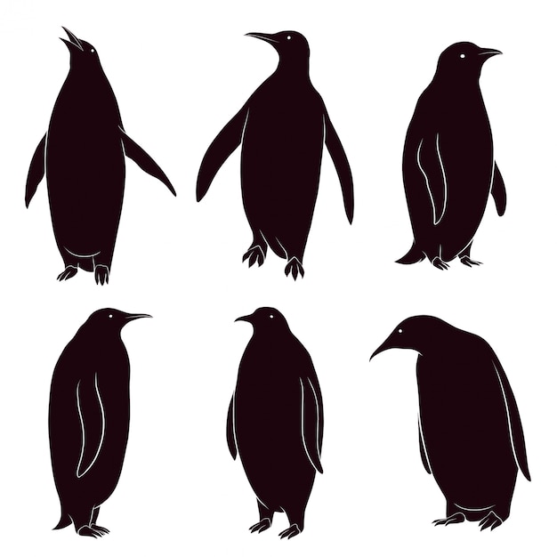 Hand drawn silhouette of penguin