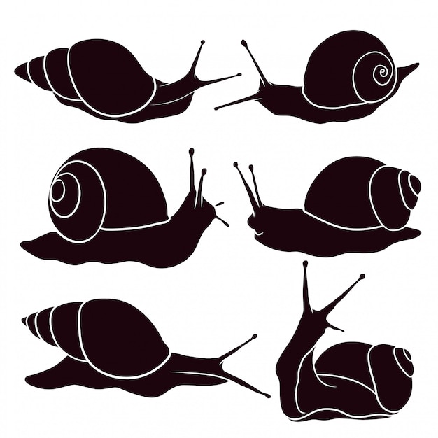 Hand drawn silhouette of snail