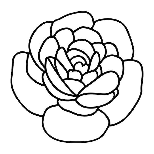 Hand drawn simple flower illustration