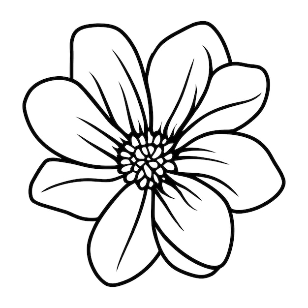 Vector hand drawn simple flower illustration