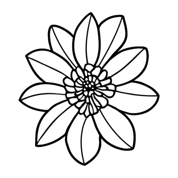 Vector hand drawn simple flower illustration