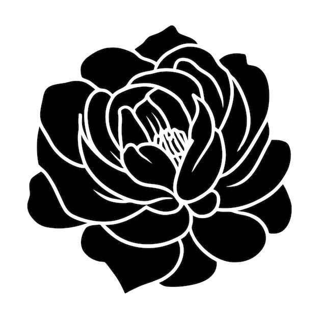 Hand drawn simple flower illustration